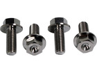 Yamaha Banshee 350 Race Titanium Foot Peg Bolts Oem Size Bolt Kit 95822-10025-00