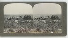 Gunners Dig For 4 5 Howitzer Position Wwi Realistic Travels Stereoview