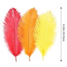 Red Orange Yellow Ostrich Feathers 12pcs Natural Bulk 8-10inch 20cm-25cm For