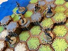 Hasbro Heroscape Lawmen   Samurai Zanafor   s Discovery Wave 4 Expansion Complete