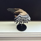 Pathfinder D d Miniatures Deadly Foes Giant Eagle  32 Of 46