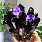 558g New Find Black purple Phantom Quartz Crystal Cluster Mineral Specimen