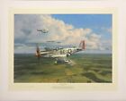 American Eagles By Robert Taylor Wwii 357th Fighter Group Mustang Aces P-51