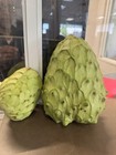 Fresh California Green Cherimoyas Custard Apple Exotic Fruit 5 Pounds