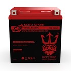 Neptune Ytx30l-bs 12v 30ah Maintenance Free Sla Power Sport Battery 400cca