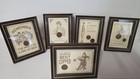 Framed Collection Of British  Copper Coinage Coins X5