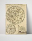Vintage Map - Celestial Map - Zodiac Constellations