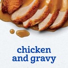 Gerber Stage 2 Chicken And Gravy Baby Food  2 5 Oz  10 Pack