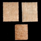 Eritrea 1892 Sc  2  1922   58-59 Schg Ovpt Mint Mnh Stamps W  Elephant Cv 14