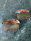 New Cloisonn    Multicolor Enamel Brass Hair Combs Floral Art Design Set  