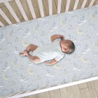 Lambs   Ivy Disney Baby Cozy Friends Winnie The Pooh Gray Fitted Crib Sheet