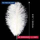 Large White Ostrich Feathers Bulk For Crafts  20pcs  8-10inch   Craft Big White