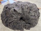 Raw Wool - Shetland Fleece - Gray - Free Shipping