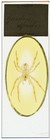Antique Microscope Slide By Norman - Whole Garden Spider