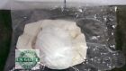 Usmc Army Extreme Cold Weather Face Mask   2 Filters Us Military Surplus Gear