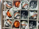 New Christopher Radko Shiny Brite Halloween Glass Ornaments 12 Count Spider Web