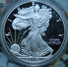 2019 W American Silver Eagle Proof Congratulations Pcgs Pr70 First Day Wp Holder