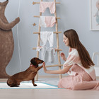 300 Disposable Pads Chux Absorbant Puppy Dog Pee Training Underpad 23 x36 