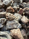    Discounted  crazy Lace Agate  Rough Lace Agate From Summerville Ga 10lbs Lot
