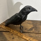 Vintage Black Crow Decoy Papier Paper Mache