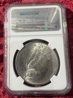1923 Peace Silver One Dollar Coin  1 Ngc Ms 63 Free Shipping