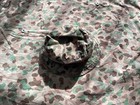 Austrian Army Pea Dot Zeltbahn   Poncho   Shelter Quarter And  Cover   Hat  