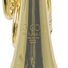 C g  Conn 10dy Professional Geyer Wrap French Horn Sn 657597