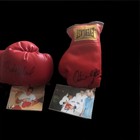 Arturo Gatti micky Ward Autographed 2 Everlast Boxing Gloves   2 Coas   2 Photos