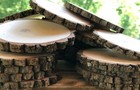 150 3-4  Rustic Wood Tree Slices Wedding Decor Coaster Ornament Natural Rounds 