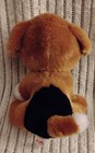 Ty Beanies Boos Plush Brown   White Pup With Golden Eyes     Heart Tag Attached