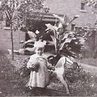Antique Photo Board Mounted Little Boy With Ball And Toy Pull Horse Outside