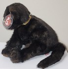 Ty Classic - Purrecious The Cat  gold Ribbon  16  Plush  2002 Release  New Mwmts