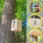 Squirrel Nest Box - For Grey Squirrels   Flying Squirrels