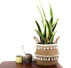 Tassel Macrame Woven Seagrass Belly Basket For Storage