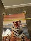 Exxon Large Tiger Poster 36 5  X 24 5  