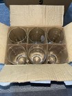 Peroni Beer Glasses  6  Gold Rim 8-9oz Original Box Nos New