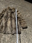 Vintage 80s Brown Gray Silver Genuine Fox Fur Coat Jacket Sz 44