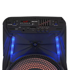 Portable Bluetooth Speaker   12  Woofer   Party Lights Wireless Mic Rechargeable