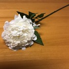 White Peony 27  Long 8 Stems Lot Artificial Flowers For Crafts Bouquet Bridal