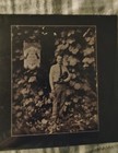 Tyler Childers Long Violent History Lot