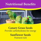 Premium Cockatiel Bird Food Seeds  With Probiotics  4 5 Lb Stay Fresh Jar 2 Pack