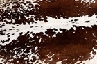 New Cowhide Rugs Area Cow Skin Leather 18 78 Sq feet  52 x52   Cow Hide M1040