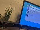 Philips Dvdr3576h - 160gb Hdd Dvd Recorder Player  no Remote 