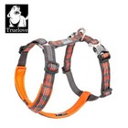 Truelove Pet Harness Vest - Chest Strap For Dog   Cat Outdoor Activities  yh1802