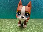Littlest Pet Shop Lps Authentic   589 Brown   White Diamond Eyes Great Dane Dog