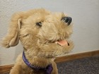 Furreal Biscuit My Lovin    Pup Interactive Plush Golden Dog 24   hx14 5  wx19 5  l