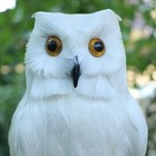 Realistic Feathered Owl Figurine Lifelike Bird Replica Simulation Wild Animal   