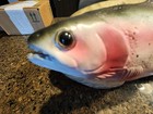 Vintage Gemmy Singing Trout Partially Works   Read Description Please   