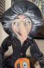Ships Free    Nwt s Joe Spencer s 40 Inch  shasta  - Maybe The Best Witch Ever 