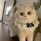 Princess Cat Collar Scarf W  Bell     Lace Bib For Cats   Small Dogs  Gift-ready